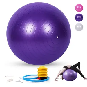 Heavy Duty PVC Yoga Ball Eco Friendly 65cm Fitness Gym Yoga Ball Custom Pilates Ball For Exercise