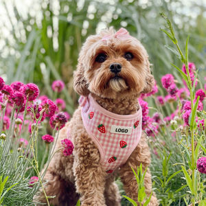 Juego de Correas y Collares Ajustables Personalizados con Bordado OEM para Mascotas, Transpirables, Duraderos, con Patrón Personalizable, Suministros para Mascotas - Product Image 4