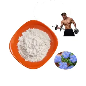 Best Price Natural Supplement Bulk Beta Ecdysterone Powder 98% Ecdysterone