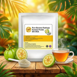 Tè in Polvere con Estratto di Garcinia Cambogia 85% HCA, Tè Detox Dimagrante, Energizzante e Soppressore dell'Appetito - Product Image 5