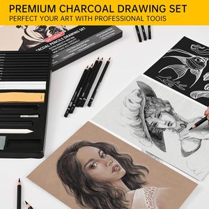 Set Professionale di Matite per Schizzi a Carboncino, Kit Artistico per <span class=keywords><strong>Disegno</strong></span> in Bianco e Nero con Bastoncini di Grafite, Strumenti per Sfumatura e Astuccio per Artisti - Product Image 4