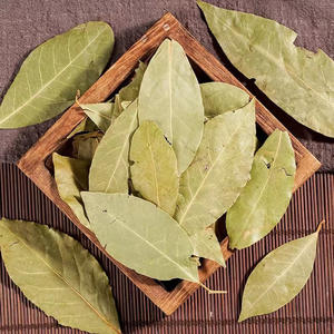 Foglie di <span class=keywords><strong>Alloro</strong></span> Essiccate, Spezie di Alta Qualità, Miglior Prezzo dal Produttore Cinese - Product Image 1