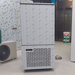 Congelador Comercial de Ultra Baja Temperatura para Congelación Rápida de Mariscos a -40 Grados, Refrigerador Vertical para Cocina Industrial - Product Image 2