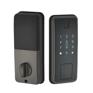 Smart catenaccio senza chiave chiave Touchscreen Bluetooth WIFI tastiera chiave Auto telecomando eKey controllo automatico serratura della porta anteriore