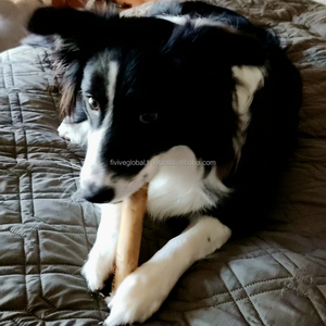 Palo para masticar de madera de café al mejor precio, apoya la salud bucal, reduce el estrés, juguetes para perros naturales y seguros, fabricante de Vietnam, MOQ bajo - Product Image 1