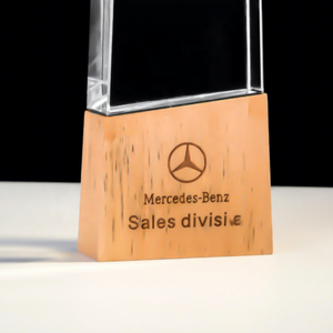 Plaques en bois et en cristal gravées avec logo personnalisé, trophées commémoratifs - Product Image 6