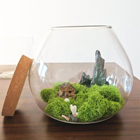 Grand terrarium en verre moderne pour plantes aériennes et succulentes - Vase de table fait main écologique pour la décoration de la maison/du bureau