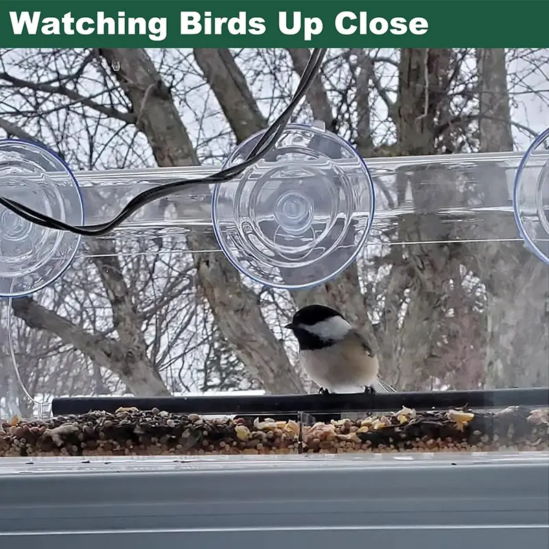 מאכילי ציפורים לחלון אקרילי שקוף לחוץ - אחיזת יניקה משופרת, מזין בית ציפורים חיצוני לצפייה בציפורים