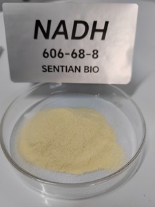 NAD Supplement Beta-Nicotinamide Adenine Dinucleotide NAD+ Lyophilized Powder Pure Beta-Nicotinamide Adenine Dinucleotide - Product Image 5