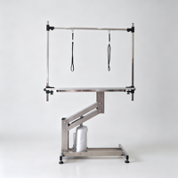 Table de toilettage pour animaux de compagnie robuste à levage hydraulique, 120x60cm, avec pieds en acier inoxydable et hauteur réglable