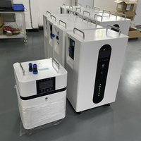 Générateur Solaire Portable Tout-en-un Plug and Play avec Batterie 8kWh 10kWh 15kWh 16kWh 5kVA, Station d'Énergie à Réponse Rapide 220VAC