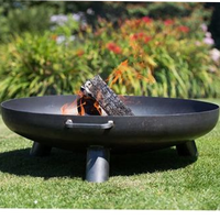 Barbecue et camping en plein air avec foyers à bois