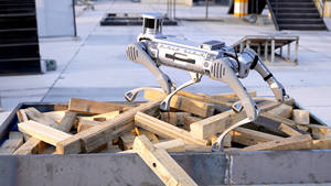 Robot Cuadrúpedo Industrial Unitree B2 Go Limits, Carga Útil de 120 kg, Velocidad de 6 m/s, Torque de 360 Nm, Batería Intercambiable en Caliente IP67 - Product Image 5