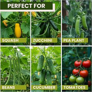 Arch-frame vườn <span class=keywords><strong>trellis</strong></span> cho leo núi ngoài trời cây kim loại và <span class=keywords><strong>PVC</strong></span> hỗ trợ clip cho rau nho cà chua đậu đậu - Product Image 4