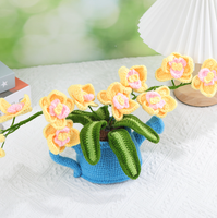 Ensemble de démarrage pour crochet et tricot pour adultes Kit d'artisanat textile pour cactus et plantes pour débutants