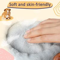 Lits pour cochons d'Inde, hamsters, hérissons, écureuils, tortues, lézards et petits animaux