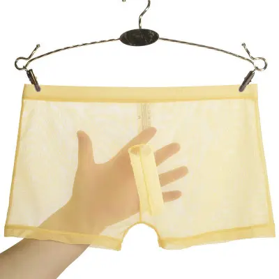 Summer Sexy Mesh Transparent Ice Silk Jockey Boxers Lingerie Gay Mens Sexy Underwear