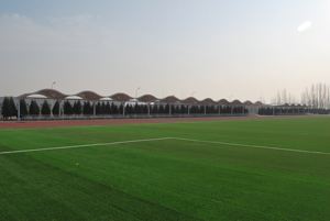 Cage de football Offre Spéciale panna terrain de futsal bon marché avec terrain d'entraînement de football en gazon synthétique - Product Image 3