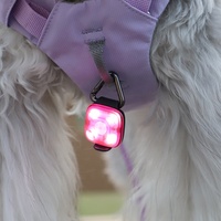 Pendentif lumineux LED pour animaux de compagnie - Lumière de sécurité nocturne carrée en plastique pour chiens, idéale pour les promenades nocturnes afin d'éviter la perte des animaux.