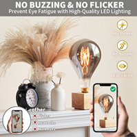 Smoky Edison LED Vintage Smoky Glass Filament Ampoule Intérieur AC Alimenté Sans Scintillement LED Filament Ampoule Lumières décoratives Utilisation pour Café