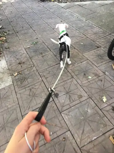 Mới đến chất lượng cao chống cắn chuỗi Dog Leash với da xử lý