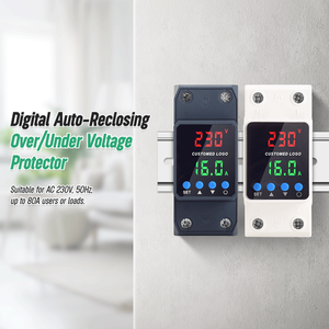 CG 2P 40A 63A 80A 100A 저전압 및 전류 보호기 자동 재설정 리닫기 장치 220V 230V - Product Image 2