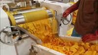 Machines à savon, pour la fabrication de coffret à domicile, Bar à savon et des toilettes
