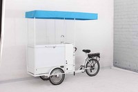 Tricycle électrique à chargement frontal de vélo de crème glacée chariot de nourriture de rue avec congélateur à vendre