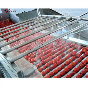 Petite ligne de pâte de tomate, Sauce Ketchup plante de ligne de <span class=keywords><strong>cuisson</strong></span>, plante de tomate, 1 pièce - Product Image 1