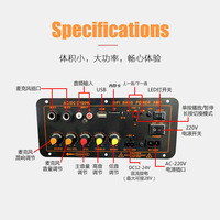 Carte amplificateur D100 BT nominale 100W Max 300W karaoké haut-parleur Subwoofer basse Hifi Amplificador Board 220V EU