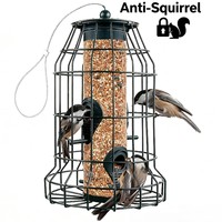 Mangeoire à oiseaux anti-écureuils suspendue en métal avec tube en PC, graines mélangées, distributeur automatique pour jardin