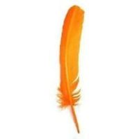 Plume de dinde plume pour artisanat bricolage coiffure chapeau cheveux Costume Cosplay accessoire carnaval fête mariage maison décor Floral