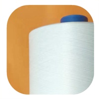 Fil dty en polyester pour tricot, 150d 48f blanc brut, texturé à bas prix