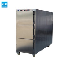 Offre Spéciale 3 corps mortuaire congélateur cadavre Réfrigérateur morgue congélateur mortuaire Chambre De Refroidissement D'entreposage au Froid