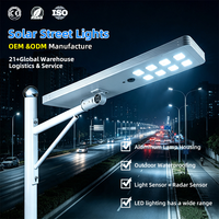 Lampadaire Solaire Tout-en-un en Aluminium Moulé Sous Pression 80W 100W LiFePO4 MPPT LED Étanche IP65 pour Routes Urbaines, Autoroutes, Places Publiques et Collectivités