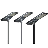 Lampe solaire Philips CQ 100W MPPT contrôleur IP66 étanche corps en aluminium lampadaire solaire LiFePO4 batterie lumière LED