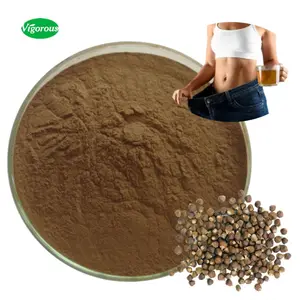 100% reines natürliches Aframomum melegueta Grains of Paradise Extract