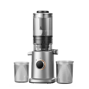 Yeni Tasarım Soğuk Sıkım Meyve Sıkacağı, Yavaş Çiğneyen Ticari Meyve ve Sebze Sıkacağı Makinesi - Product Image 3