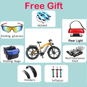 RANDRIDE YX80M-2 Dirt Bike Lithium Brushless Motor Fat Tire 20Ah Removable Full Suspension 7 Speed Adult Factory Direct - Product Image 3