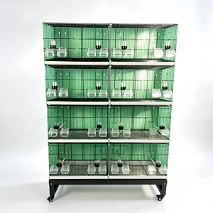 Vente en gros de cages à oiseaux en métal de style nouveau pour canaris, pinsons dorés, moineaux gris et grands oiseaux jaunes hibiscus - Product Image 4