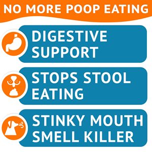 Golosinas para Perros OEM/ODM, Masticables para Dejar de Comer Excrementos, Enzimas de Perejil/Yuca para Refrescar el Aliento y Apoyar la Digestión (Todas las Razas) - Product Image 2