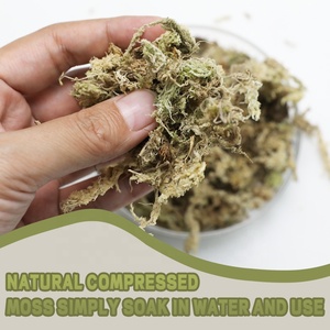 Musgo Sphagnum Esterilizado, Medio de Cultivo para Plantas Carnívoras, Germinación de Semillas, Marca Personalizable, Varios Tamaños (100g-10000g) - Product Image 4