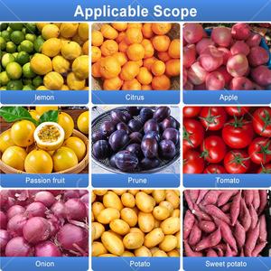 Máquina Clasificadora de Frutas HNOC para Mandarinas, Arándanos, Cebollas y Patatas, Clasificadora de Tamaño por Rodillo - Product Image 6