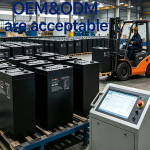Оптовая продажа: Аккумулятор LiFePO4 60В 30Ач для электрических трициклов, OEM-производство, на заказ, для тяжелых грузовых тук-туков и рикш, напрямую от производителя, с BMS - Product Image 1