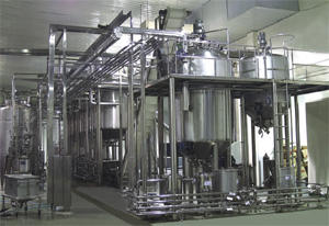 Equipo de Producción de Cerveza y Vino de 300, 500 y 1000 Litros para Proyectos A-Z, Modelo <span class=keywords><strong>Feijoa</strong></span> Acca Sellowiana, ¡Gran Venta! - Product Image 3