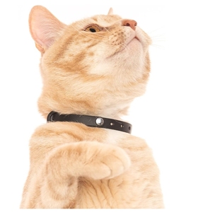 ब्रेसवे बिल्ली कॉलर-नरम, आरामदायक और हल्के सुरक्षा बकल कॉलर नाम टैग रिंग के साथ आउटडोर बिल्लियों के लिए नाम टैग रिंग - Product Image 5