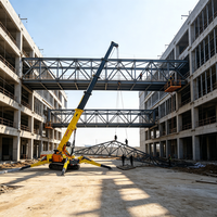 Grue sur chenilles compacte 12T avec système de sécurité avancé pour les opérations de levage à haut risque