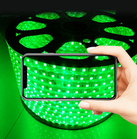 Bande lumineuse LED RGB 220V 96 LED 12mm 5050 RGB à une seule rangée avec contrôleur pour la décoration de vitrine, bande LED flexible SMD5050