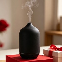 Diffuseur d'huiles essentielles en céramique, diffuseur d'arômes ultrasonique, humidificateur d'air, lumière LED 7 couleurs, décoration pour la maison