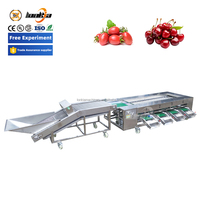 Lonkia Fruit & Groente Sorteermachine Avocado Kersen Sorteermachine Groente Sorteermachine